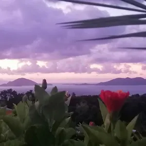 https://le-bananier-rouge.comcaribbean.com